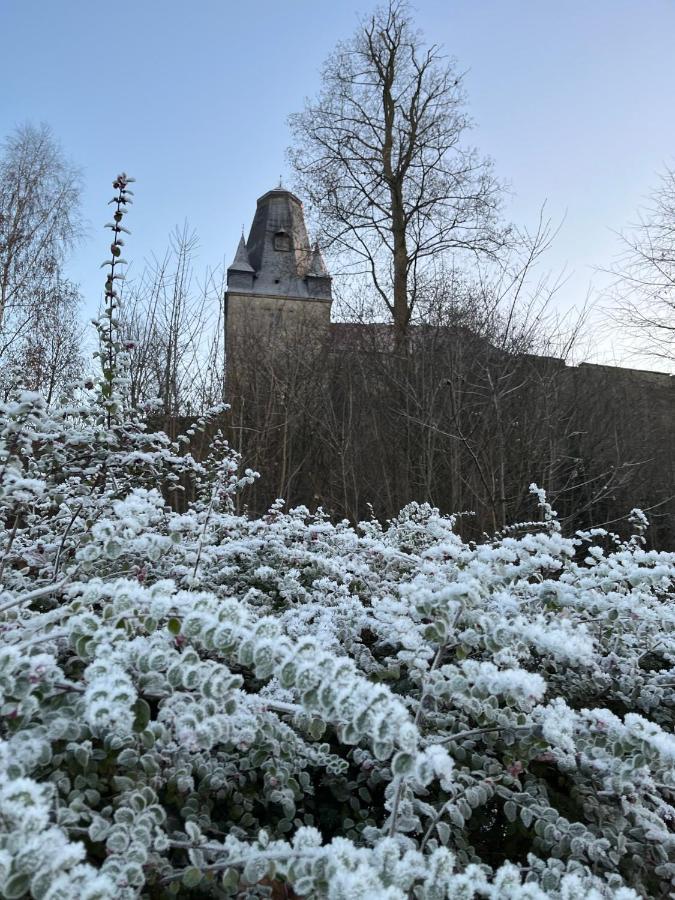 "An Der Alten Muehle 1" Fewo 120 Qm, Zwei Grosse Schlafzimmer, Suedbalkon, Gartenterrasse & Wallbox Bad Bentheim Exterior photo